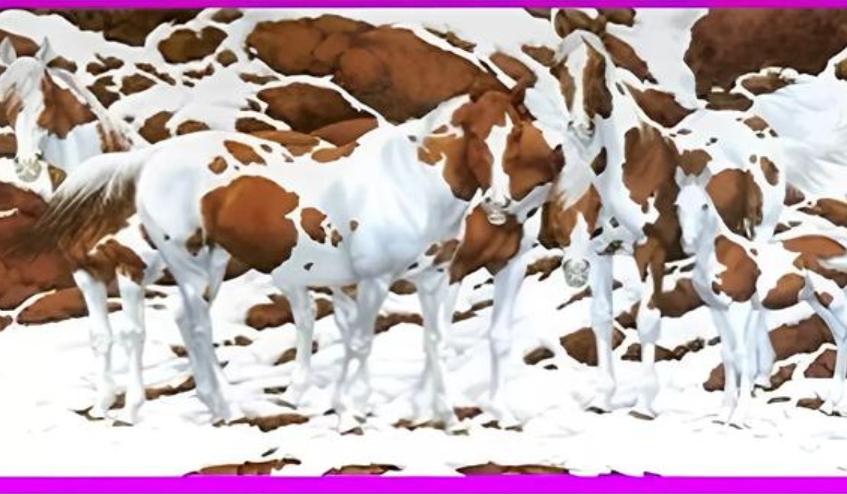 El número de caballos que veas revelará cuán irritable eres sergún este test de personalidad (Foto: GenialGuru).