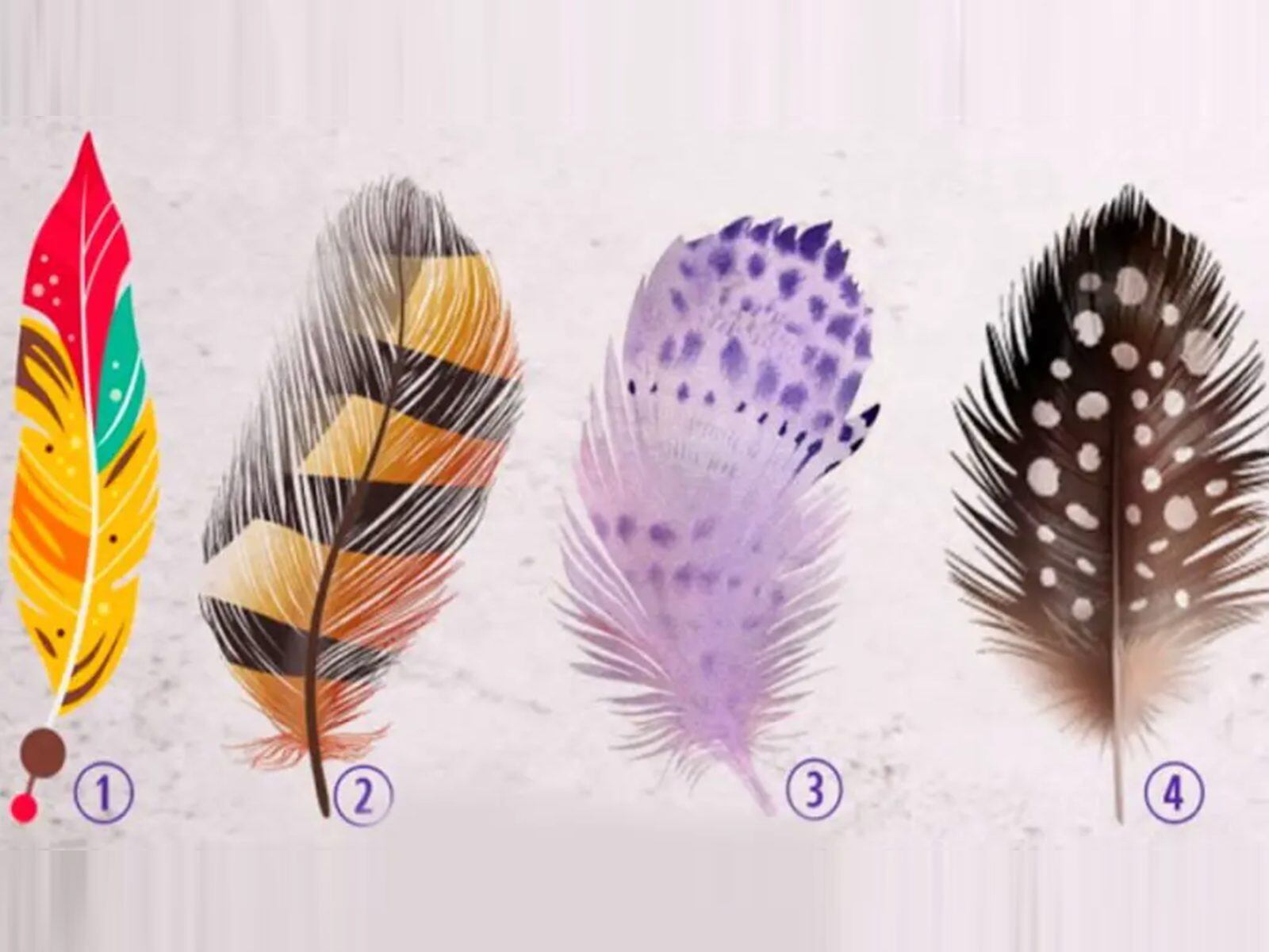 TEST VISUAL | Esta imagen te muestra cuatro plumas. Tienes que elegir una. (Foto: namastest.net)