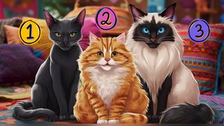 Elige uno de los gatos en la imagen para descubrir si eres una persona luchadora