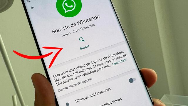 WhatsApp: cómo chatear con la app para resolver un problema
