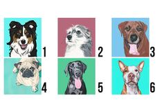 El perro que ‘robó’ tu corazón expondrá las cualidades que te hacen especial