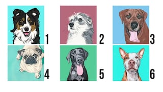 El perro que ‘robó’ tu corazón expondrá las cualidades que te hacen especial