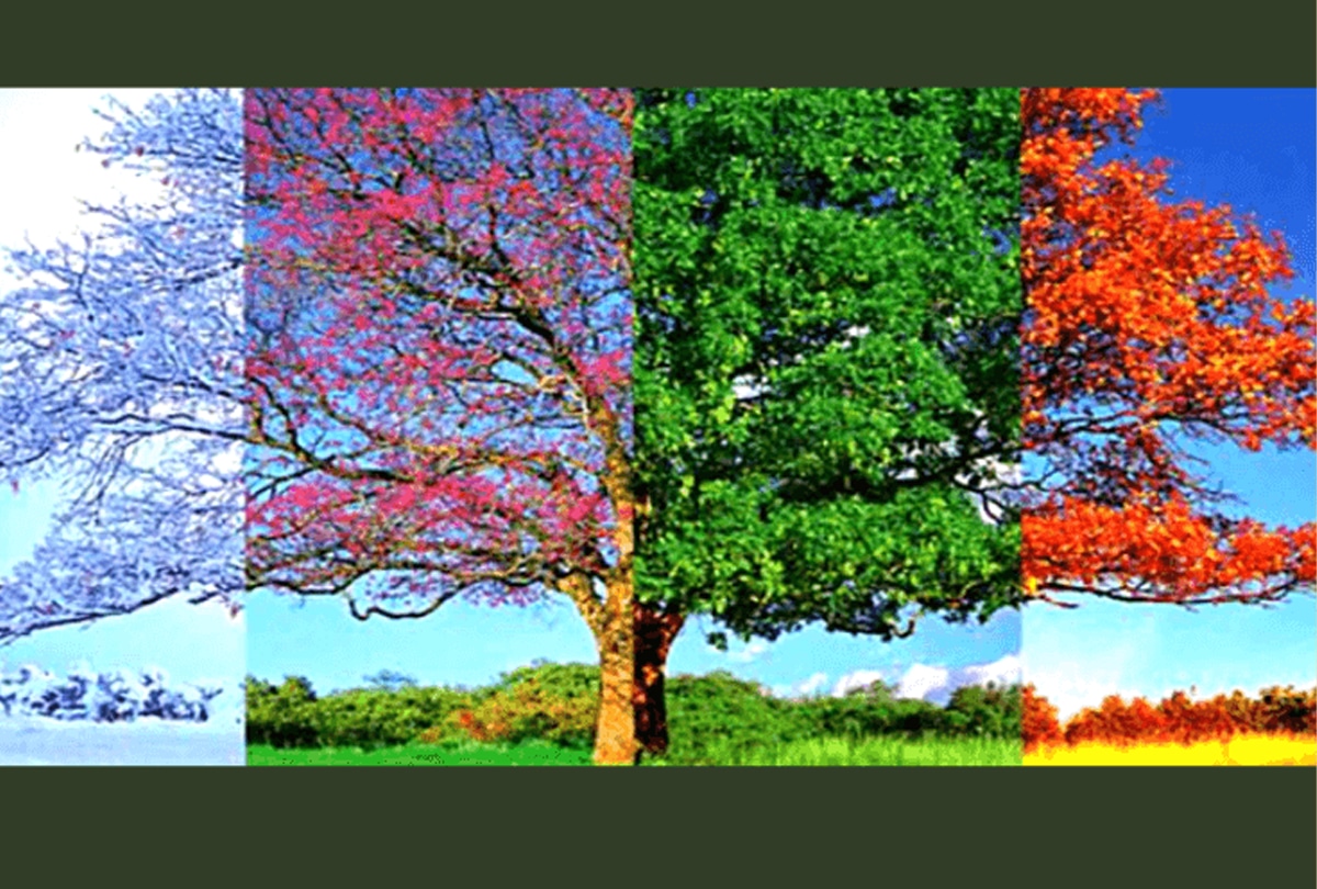 Test visual: Elige la estación que más te guste y descubre lo que dice sobre quién eres realmente.