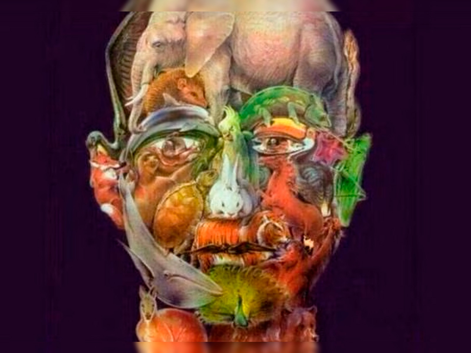 Mira la ilustración y trata de encontrar la ubicación del camello en solo 10 segundos. | Foto: namastest