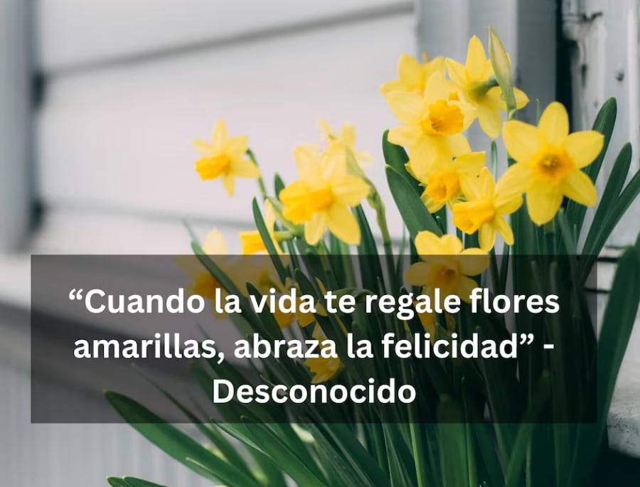 “Cuando la vida te regale flores amarillas, abraza la felicidad” - Desconocido | Foto de Maria Tyutina en Pexels / Composición Depor.