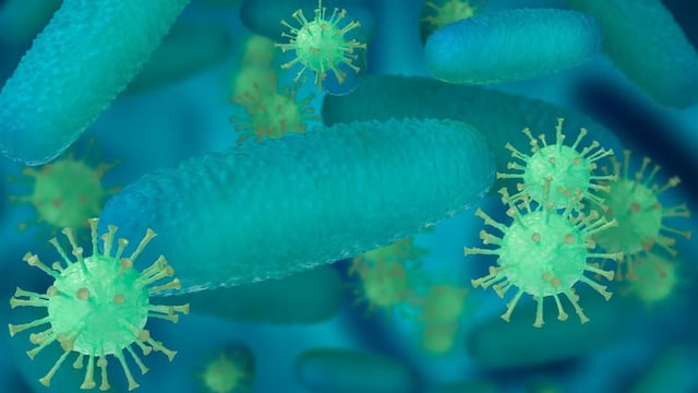 Bacteria ‘come carne’: qué es, cómo se contrae y síntomas 