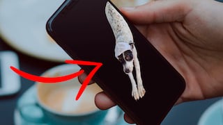 Así puedes eliminar el fondo de tus fotos usando tu iPhone