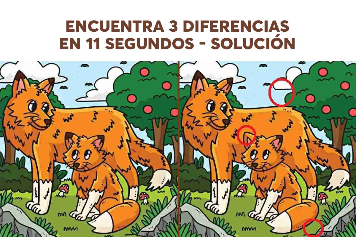 Respuesta:Las diferencias entre las dos imágenes están encerradas en un círculo en esta imagen. (Foto: jagranjosh)