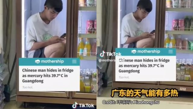 Es viral por meterse en el refrigerador para escapar del terrible calor de China