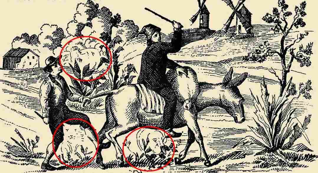 DESAFÍO VISUAL | ¿Cuánto tiempo te tocó dar con el paradero del gato, perro y la mujer? | jagranjosh