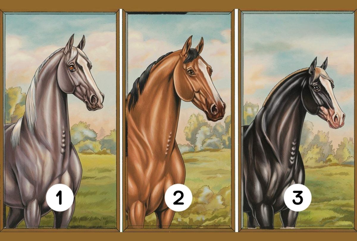 Elige uno de los caballos en esta imagen para descubrir cuán lejos llegarás e la vida (Diseño: Depor).