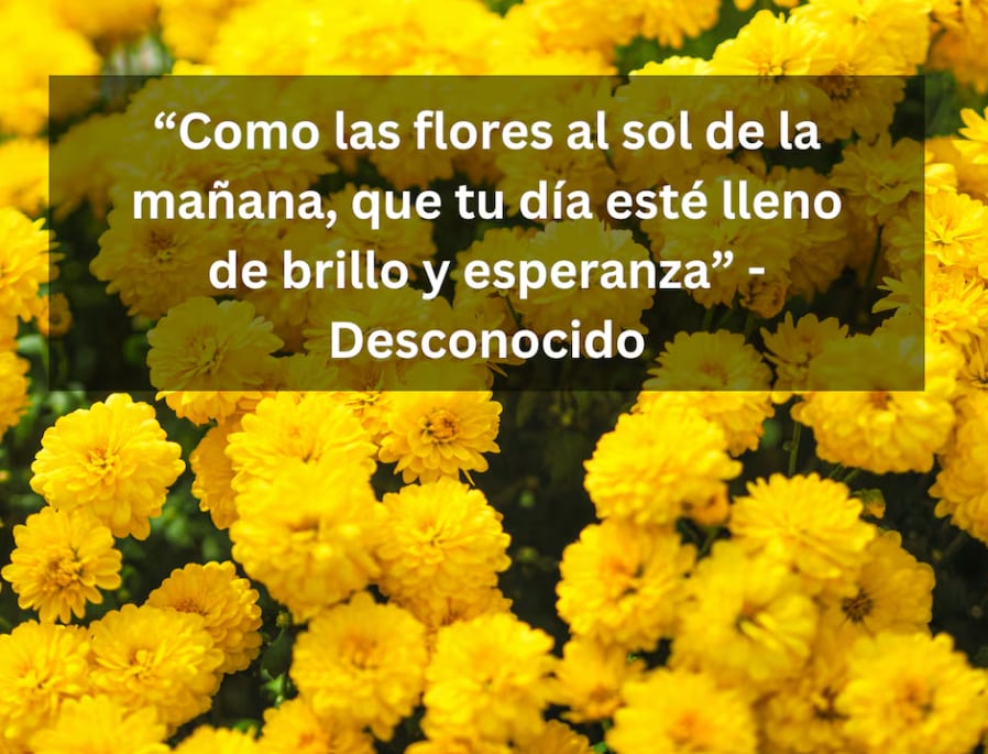 “Como las flores al sol de la mañana, que tu día esté lleno de brillo y esperanza” - Desconocido | Foto de Ra Dragon en Unsplash / Depor.