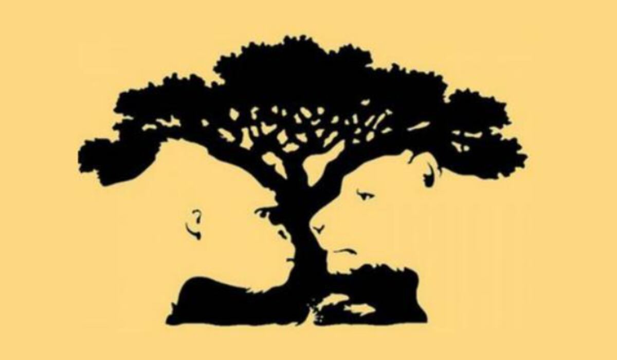 Test visual: descubre el tipo de persona que eres. (Foto: MDZ Online)