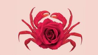Test viral: ¿El cangrejo o la rosa? Lo que veas primero te indicará si eres una persona astuta
