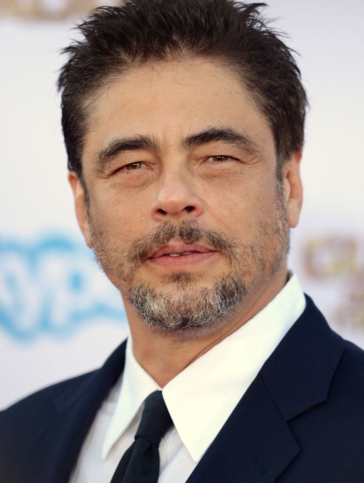 Benicio del Toro en el estreno mundial de "Guardianes de la Galaxia" el 21 de julio de 2014 en el Dolby Theatre de Hollywood, California (Foto: Robyn Beck / AFP)