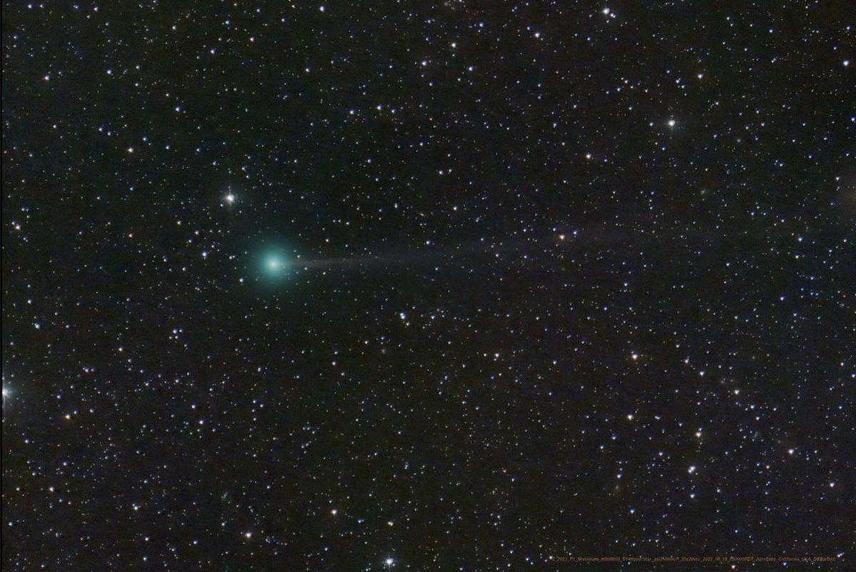 Esta imagen publicada por la NASA el 6 de septiembre de 2023 muestra al cometa Nishimura en un lugar no revelado en el espacio (Foto: Dan Bartlett / NASA / AFP)