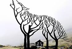 ¿Eres un líder natural? Descúbrelo según la primera figura que llame tu atención