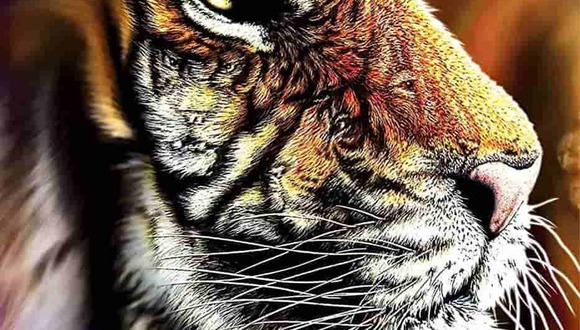 ACERTIJO VISUAL | Esta imagen de ilusión óptica tiene cuatro tigres ocultos. ¿Puedes verlos todos en 9 segundos? | S. Gardner