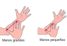 Test de personalidad: el tamaño de tus manos te hará saber si eres un buen líder