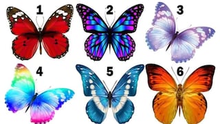 Averiguarás la clase de persona que eres cuando digas cuál es tu mariposa favorita