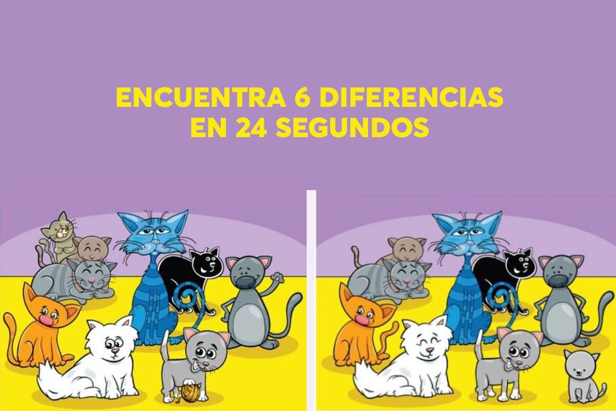 Hay 6 diferencias entre la imagen de los dos gatos. ¿Puedes identificarlas a todas en 24 segundos? (Foto: Spatial Learners)