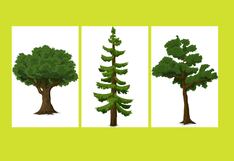 Elige un árbol de la imagen y descubre algo único sobre tu personalidad