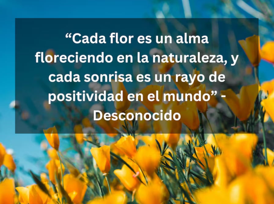 “Cada flor es un alma floreciendo en la naturaleza, y cada sonrisa es un rayo de positividad en el mundo” - Desconocido | Foto de Sergey Shmidt en Unsplash / Composición Depor.