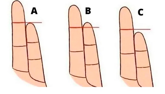 La forma de tu dedo meñique revela el perfil exacto de tu comportamiento | Foto: genial.guru