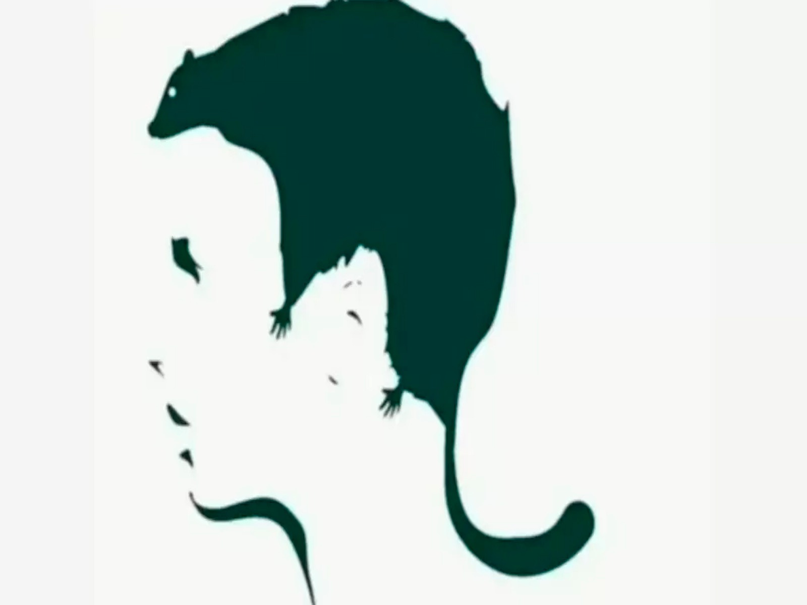 TEST VISUAL | En la imagen se aprecia la ilusión óptica que debes analizar para conocer los resultados de la prueba.| Foto: namastest