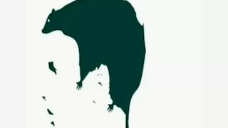 Con sinceridad dime lo que ves primero y descubrirás tu verdadero miedo