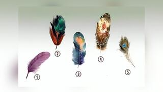 Test de personalidad: descubre qué te hace único con solo escoger una de las plumas