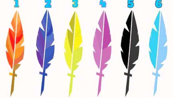 TEST VISUAL | En esta imagen hay varias plumas. Indica cuál es tu favorita. (Foto: namastest.net)