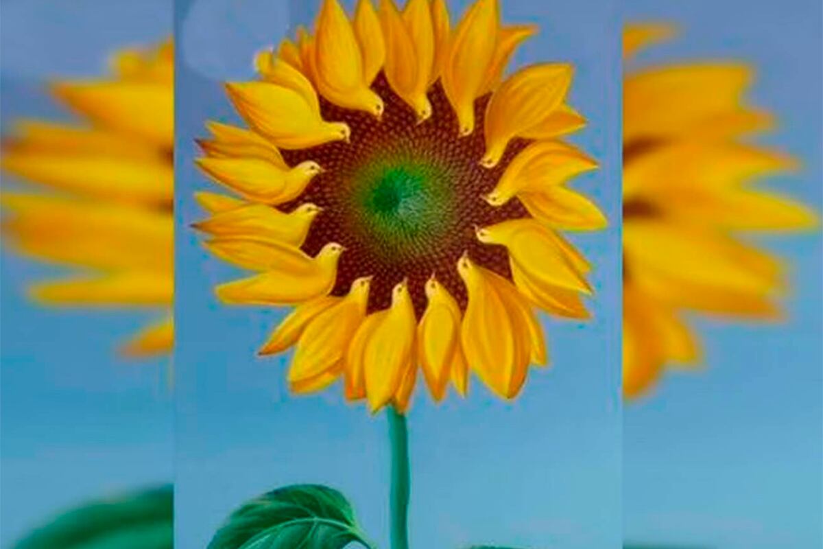 TEST DE PERSONALIDAD | Solo responde cuál figura llamó tu atención y luego conocerás los resultados. | Foto: chedonna