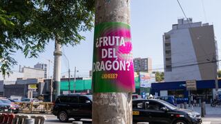 Carteles que invaden las calles: ¿qué es la fruta del dragón?