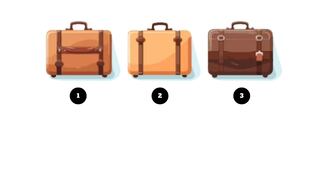 Conocerás cuál es tu peor defecto escogiendo una de las maletas