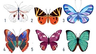 Descubre qué tipo de persona eres con solo elegir una mariposa en esta ilustración