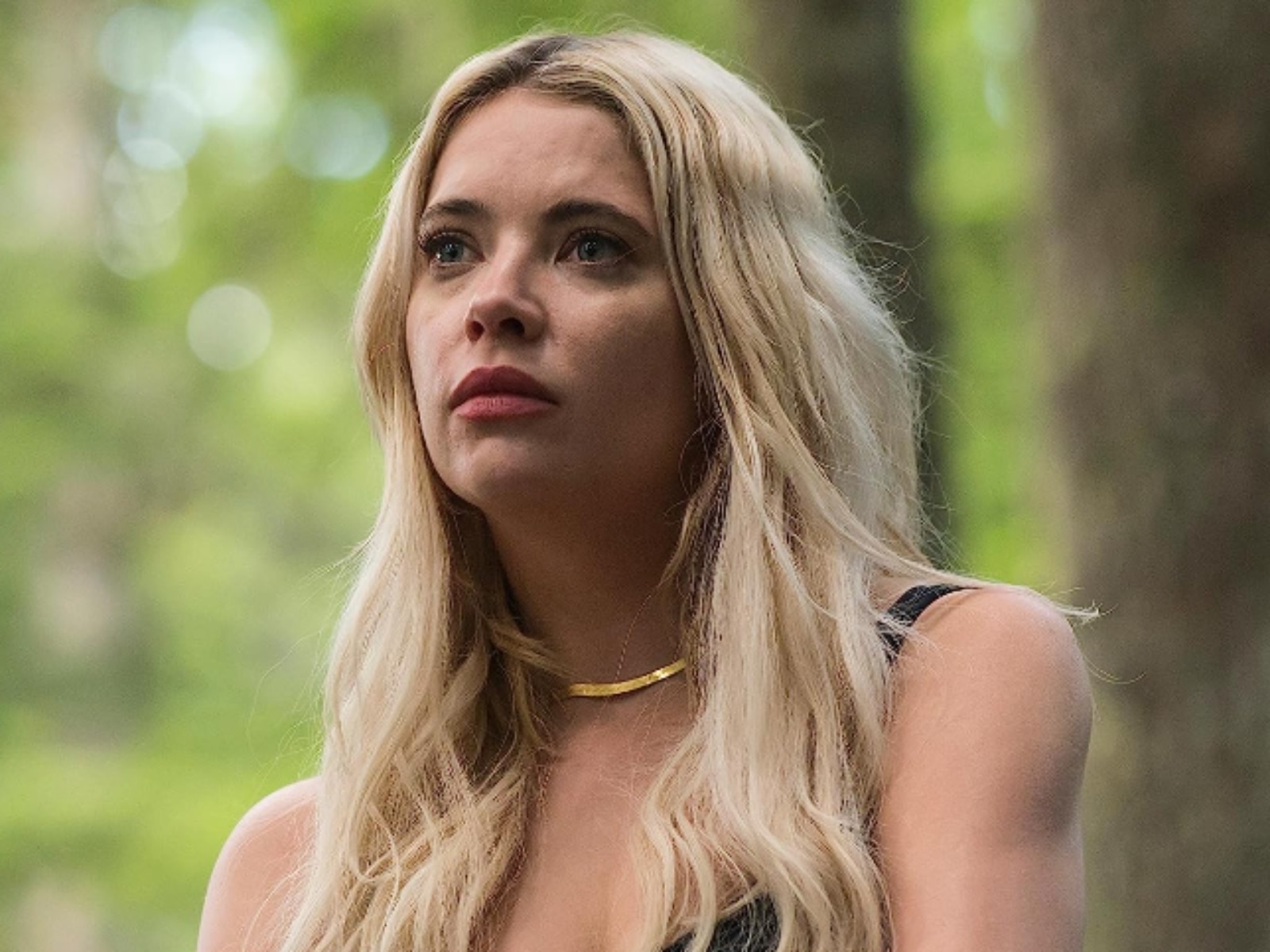 “Wilderness” es una de las novedades de setiembre en la plataforma de streaming (Foto: Amazon Prime Video)