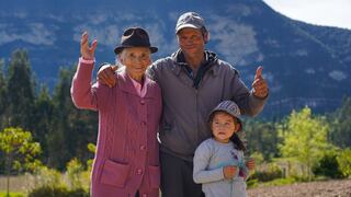 WhatsApp de Prosperidad Social: cómo hacer consultas y cuál es el número de teléfono