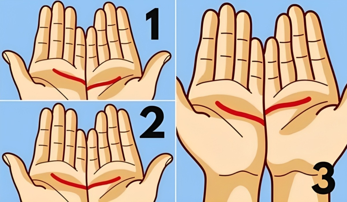 Test de personalidad: descubre qué esperar del amor en el futuro según cómo son las líneas de tus manos (Foto: GenialGuru).