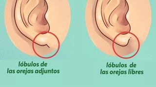 ¿Sabías que tus orejas podrían revelar secretos sobre tu personalidad? Descúbrelo aquí