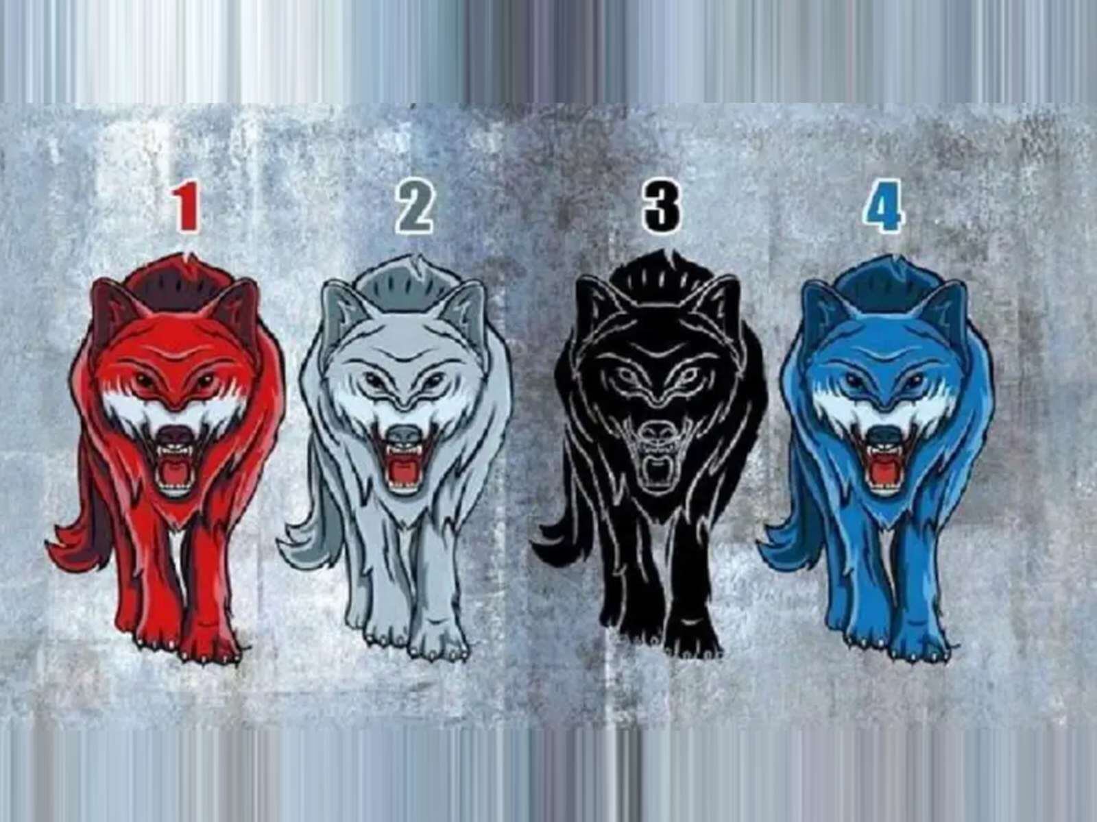 TEST VISUAL | Esta imagen te muestra cuatro lobos diferentes. Elige uno. (Foto: namastest.net)