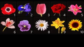 Tu flor favorita te permitirá saber muchas cosas sobre tu personalidad