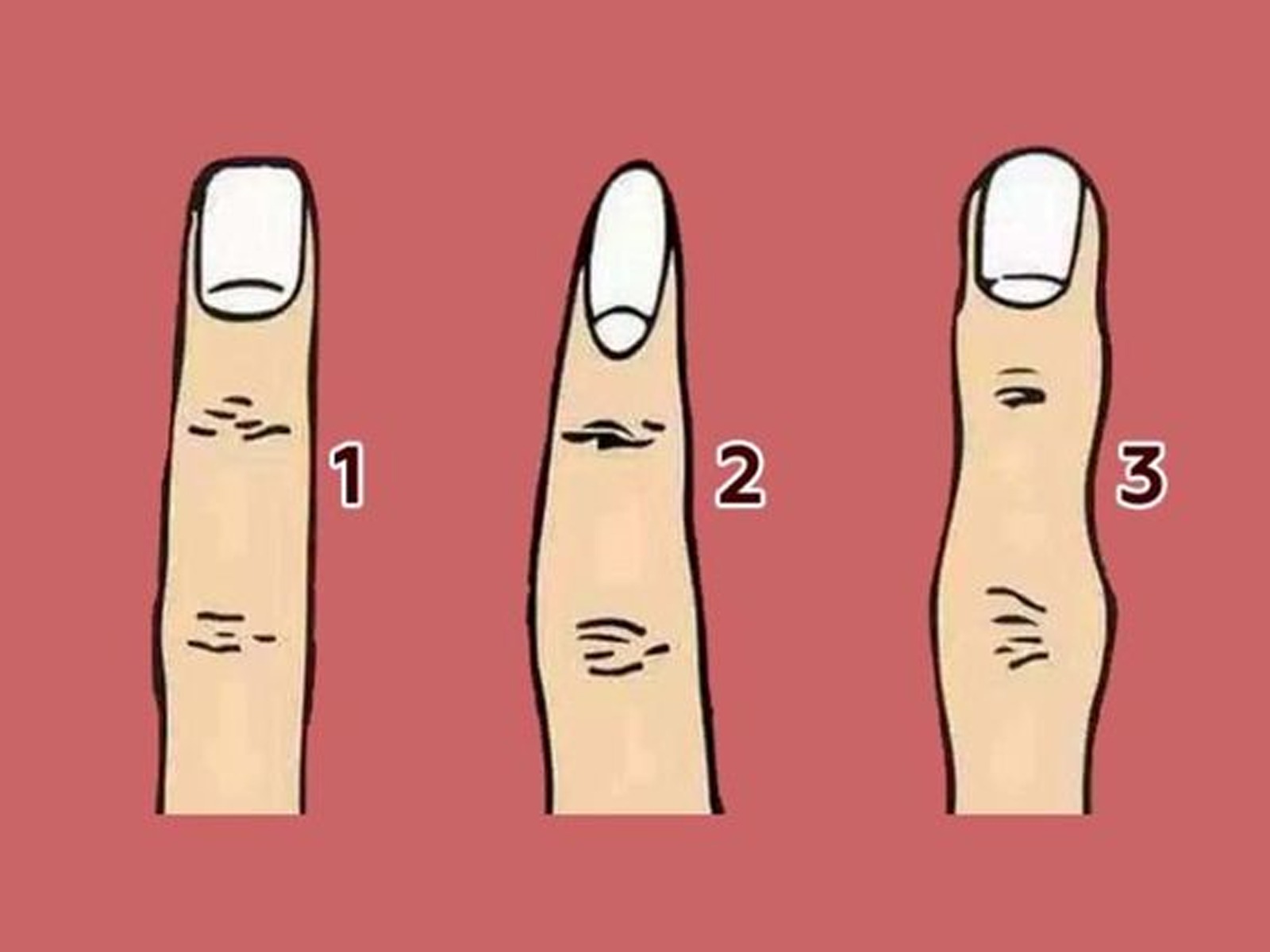 TEST VISUAL | En este test, te invito a observar la forma de tus dedos y te revelaré qué dicen sobre tu carácter, tu forma de ser y tu manera de relacionarte con el mundo. | bioguia