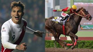 Selección Peruana: caballo de Paolo Guerrero entre los mejores en certamen mundial