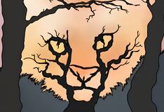 Test visual: conoce qué clase de persona eres, según lo primero que veas