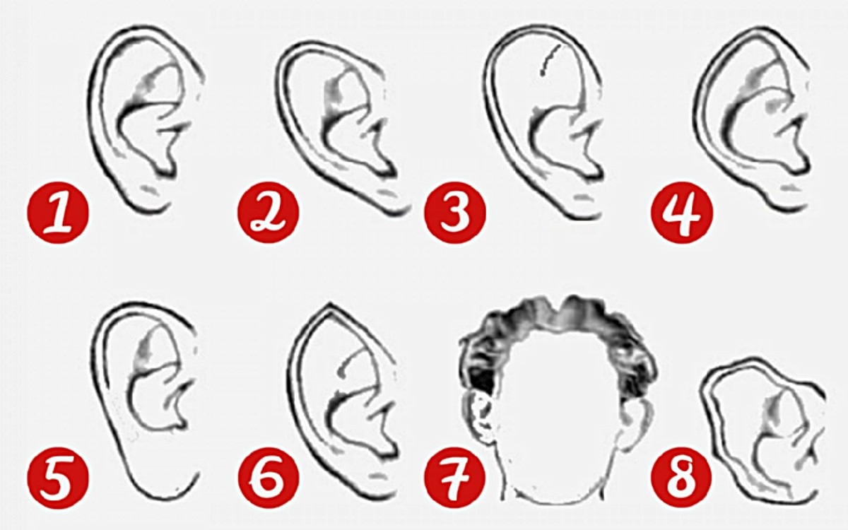Súmate a este nuevo test viral que causa furor en las redes sociales. (Foto: MDZ Online)
