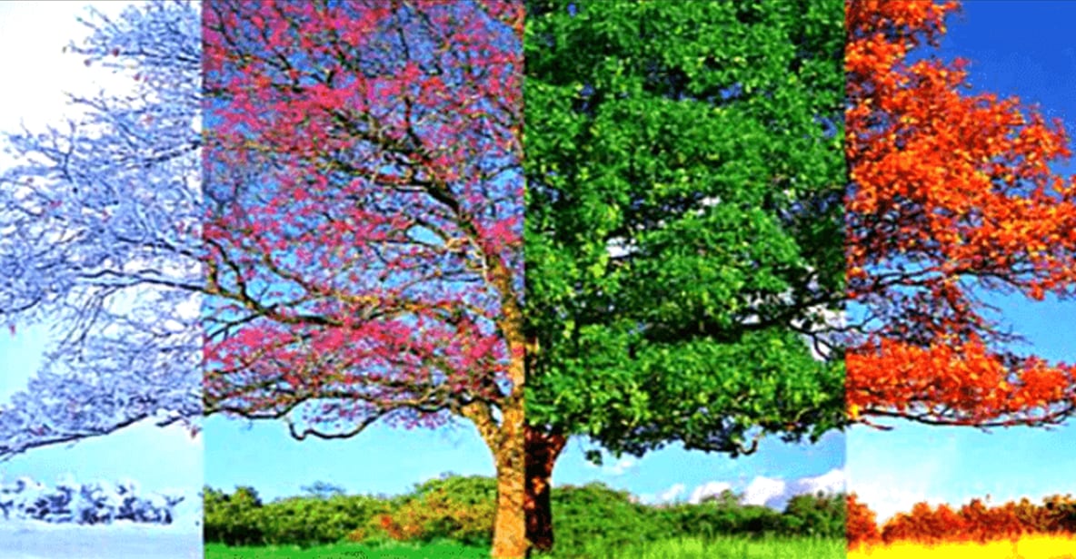 Test visual: Elige la estación que más te guste y descubre lo que dice sobre quién eres realmente.