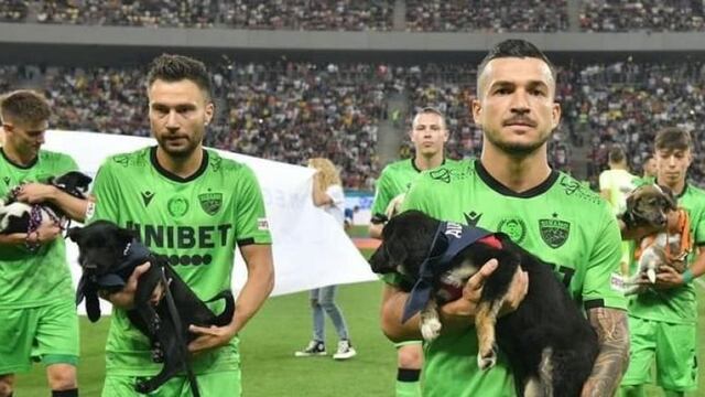 ¡Golazo de cuatro patas! Fútbol rumano promoverá adopción de perros en cada partido