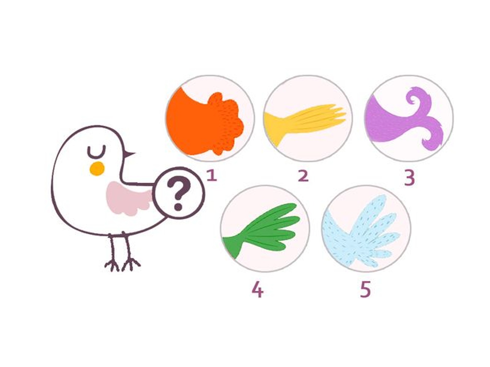 TEST VISUAL | Simplemente selecciona una de las colas que te mostraremos a continuación y observa atentamente la imagen que aparece.