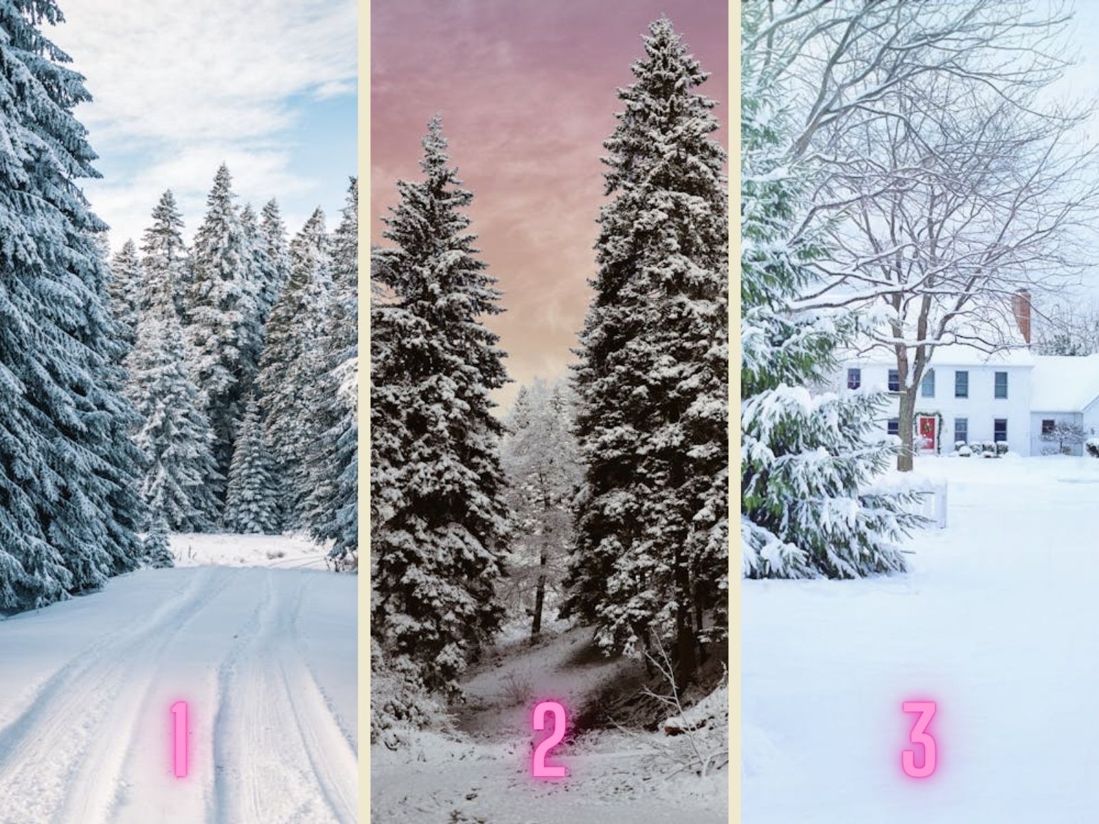 TEST VISUAL | La presencia de nieve se da en países o regiones con climas extremadamente fríos. (Foto: Composición Freepik / Depor)